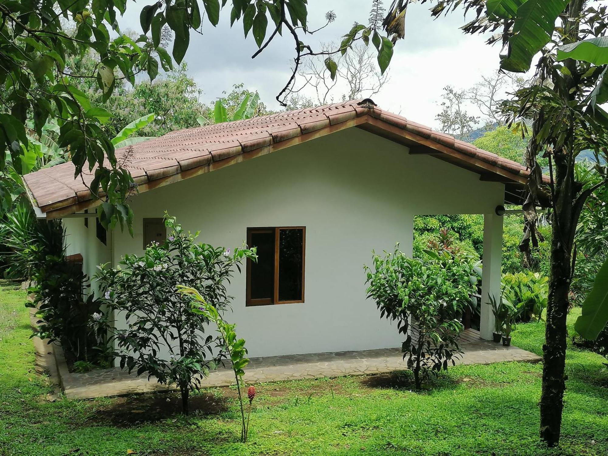 La Ceiba Tree Lodge Tilarán Exteriör bild