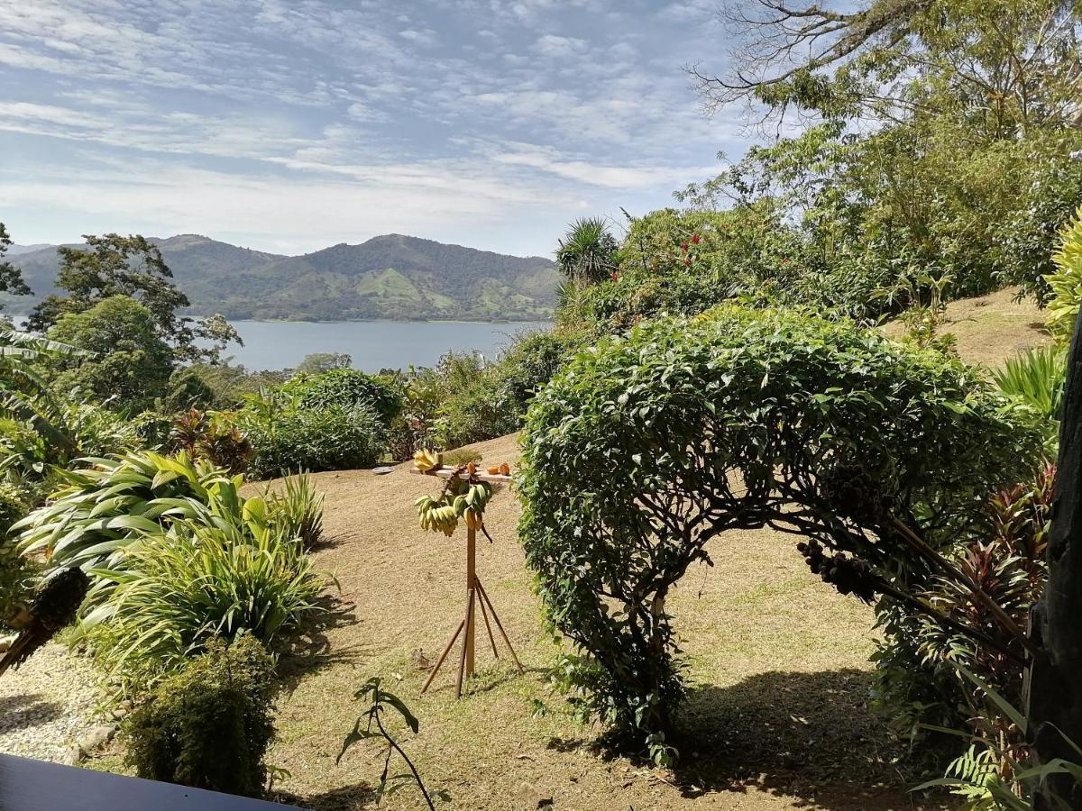La Ceiba Tree Lodge Tilarán Exteriör bild