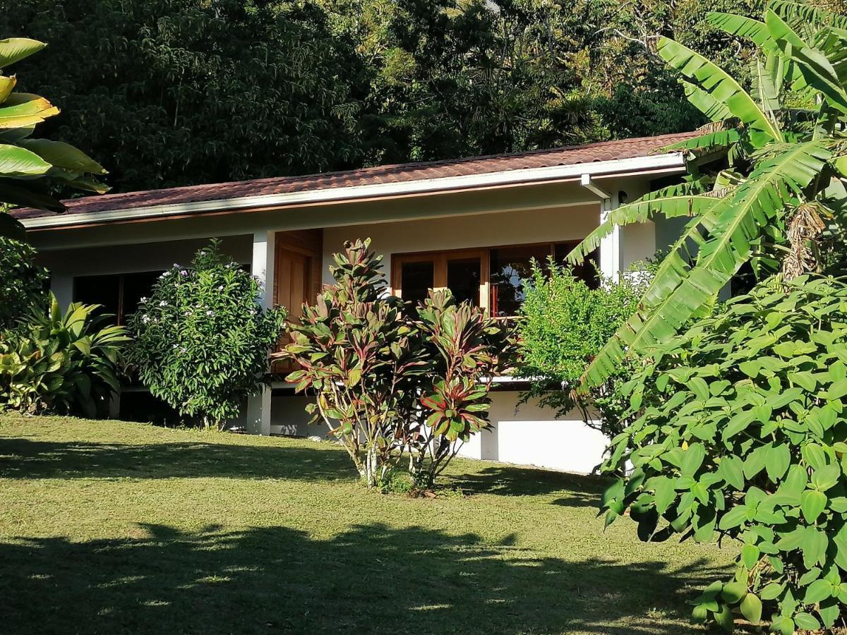 La Ceiba Tree Lodge Tilarán Exteriör bild
